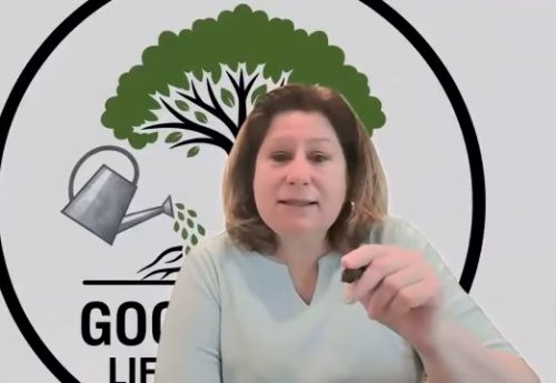 Life Coach Minneapolis Mn 170